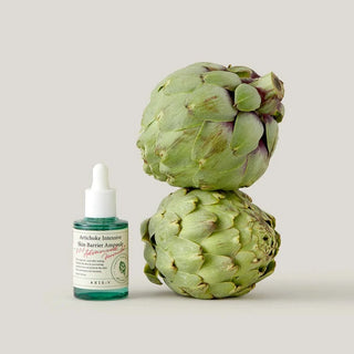 AXIS Y Artichoke